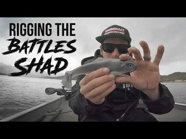 The new workingclasszero battle shad 6”!(battle shad battles part