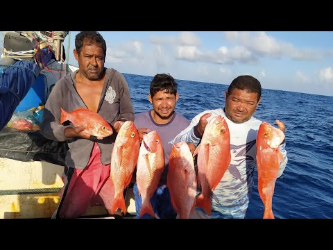 Vídeo: Variedades de peixes. Variedades de peixes vermelhos