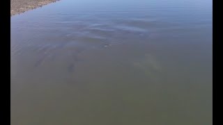 Fall and Winter Redfish Patterns are HEATING UP!