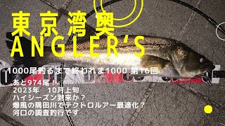 【東京湾奥】秋爆？？隅田川河口テクトロ研究釣行【シーバス釣り】2023 10月上旬　Can We Catch Fish In Tokyo Bay 16