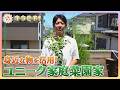 【キラビト！】身近な物を使って栽培！ライフハック的家庭菜園