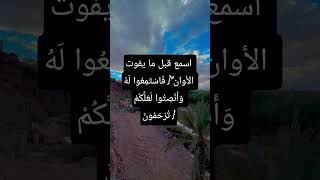 القرآن الكريم#قصص#قرآن_كريم#قرآنالله#funny#freefire#family#food###familyvlog