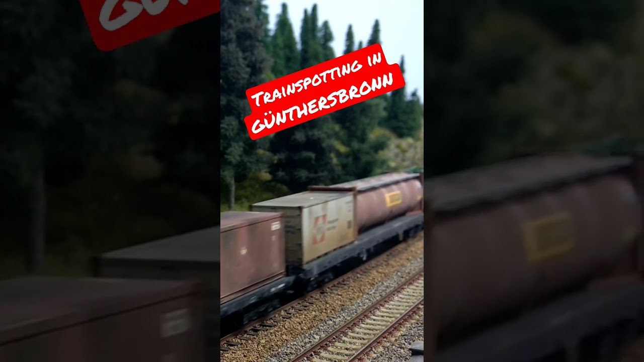 Trainspotting in GÜNTHERSBRONN 📽️🚂☁️