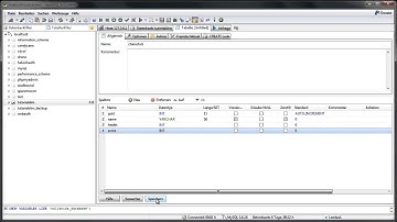 csharp slim framework tutorial part: heidi sql setup