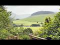 Slow Summer Days | Shed Cleanout, Greenhouse Tour &amp; Cat Time