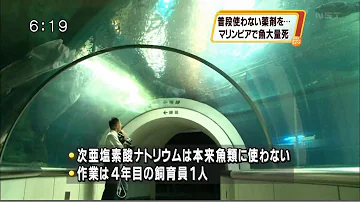 塩素の原液におたまじゃくし