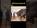 Biography of siberian unicorn | factochill | #viral