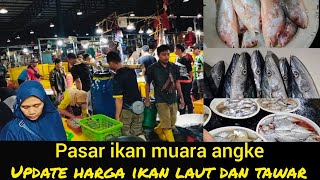 Harga Ikan Di Muara Angke MURAH Banget || HARGANYA bisa untuk DIJUAL lagi || ikannya SEGER & FRESH