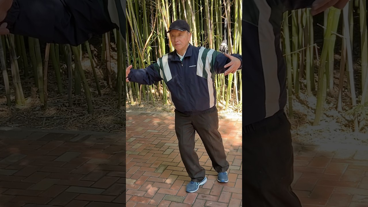 Стажировка по Ицюань в Китае-63 / Мастер Яо Ченжун / Цзоубу Кайхэ Шили (16.10.25)