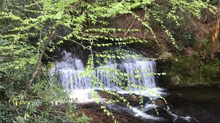 Mill Creek falls on Cohutta WMA Part 2