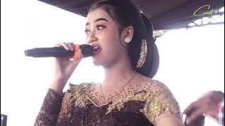 NANDA SARI - KEMBANG PROBOLINGGO - CAKRAWALA MUSIC DIGITAL