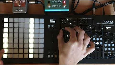 Voice Priority:  Stazma Polyend & Dreadbox Medusa Tips & Tricks