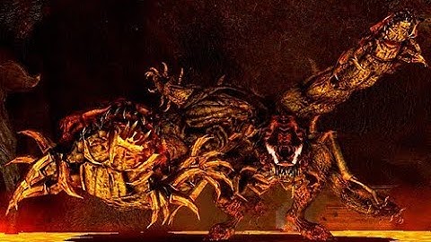 DSR - SL1 Centipede Demon No Roll/Block/Parry/No Lava damage [Flawless]