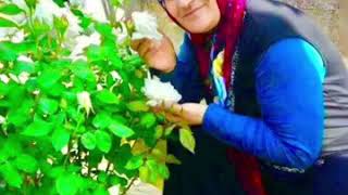 Anam Sanki Evde Gibi - Yunus Karadi̇ken