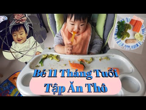 Video: 11 tháng tuổi của tôi có thể ăn gì?