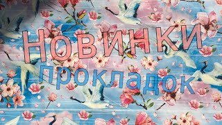 🦋Мои новинки прокладок + распаковка🩵