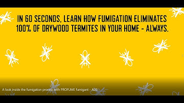 A Look Inside the Fumigation Process with ProFume fumigant in South Africa