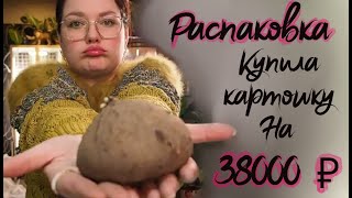видео: Распаковка растений из Тайланда . Стефания  картошка , антуриум , монстера. Совместная закупка картинка: Распаковка растений из Тайланда . Стефания  картошка , антуриум , монстера. Совместная закупка