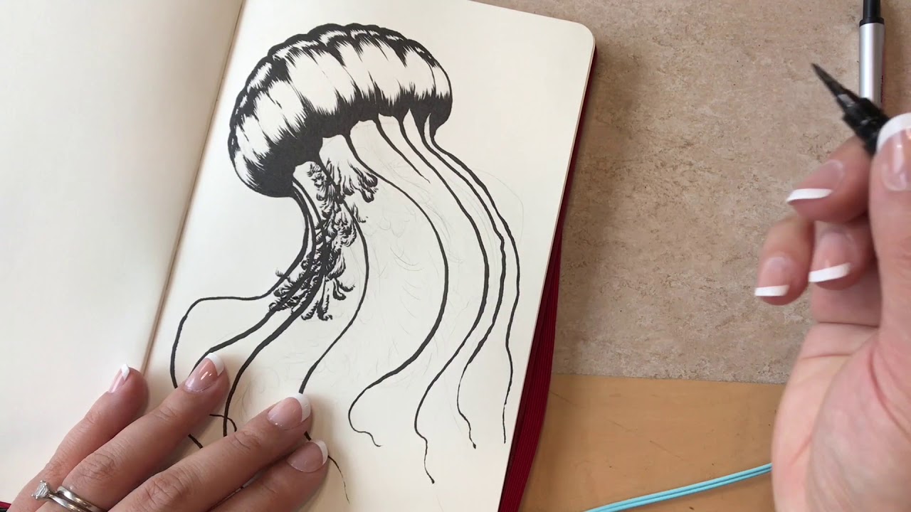 Jellyfish Timelapse Ink Drawing YouTube