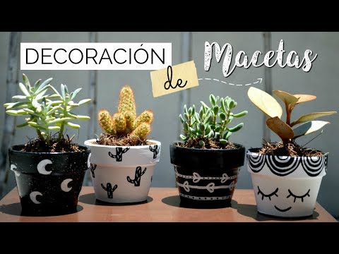 Video: Lo que se necesita para diseñar un espacio glamoroso y lujoso