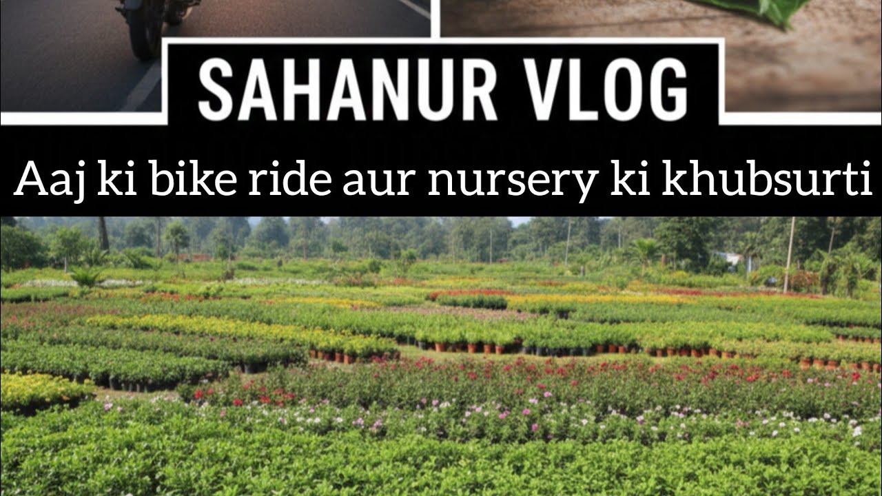 #Vlog4 bike se ghumte ghumte petrol he khatm Ho 🥺🥺🥺 Gai@MULLICK_SAHANUR