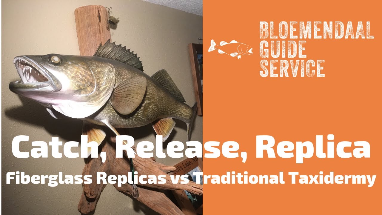 What you should know if you want a trophy fish mount (video) 