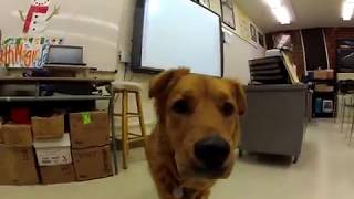 Algebra 3 #22a Hamming Code 04 16 20