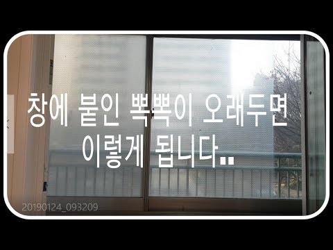 뽁뽁이 오래 방치하면 이렇게...