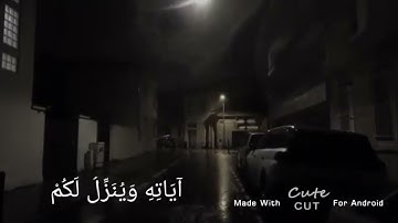هو الذي يريكم آياته وينزل لكم من السماء رزقا ومايتذكر الا من ينيب ♥️