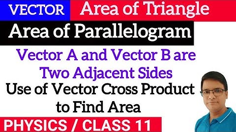 Area of Triangle & Area of Parallelogram formed by Vector A & Vector B as two adjacent sides||vector