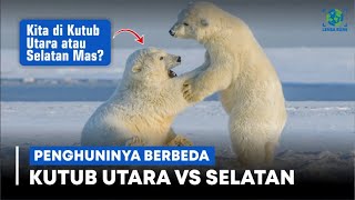 Penghuninya Berbeda !! KUTUB UTARA vs SELATAN, Perbedaan Hewan 2 Kutub & Kehidupan Arktik Antartika