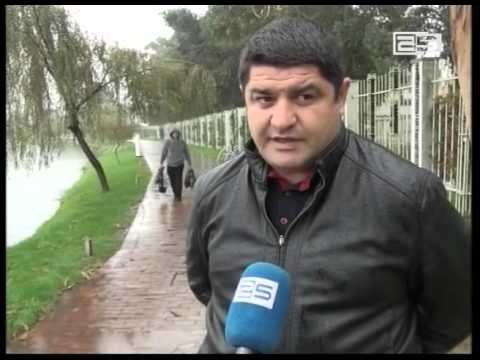 განათების ბოძების დამტვრევის ფაქტი დელფინარიუმის მიმდებარე ტერიტორიაზე