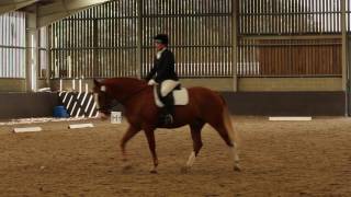 Jo Holder &amp; Danny (Cooloo Lad) Elementary Freestyle DTM @ BCA