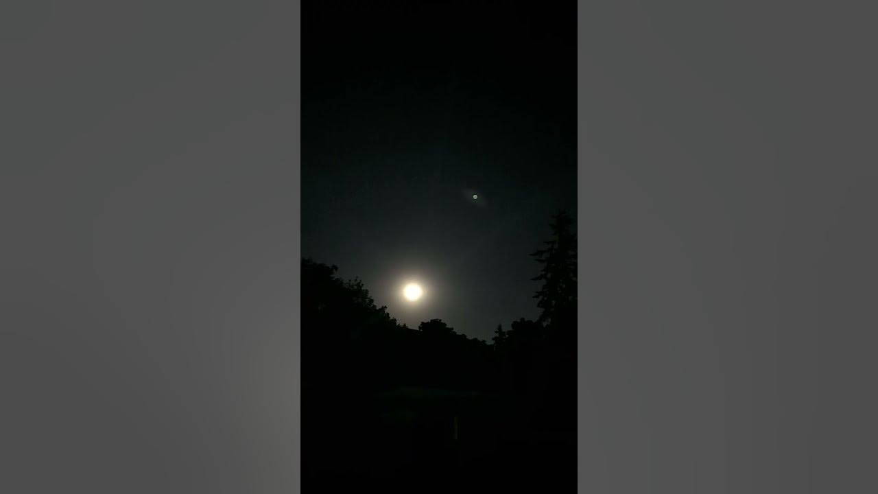 🤘🎼🤘🎶🤘🎵🌙 Ozzy Osbourne  song : Bark at the  Moon 🌙🎵🤘🎶🤘🎼🤘8- 8-2025 #metalhead #metalmusic
