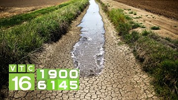 ĐBSCL hạn mặn khủng khiếp, người trồng lúa khốn đốn | VTC16