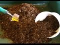 How to revitalize and re-use potting soil