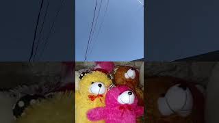 The balloons flew freely in the sky with the birds flying around.