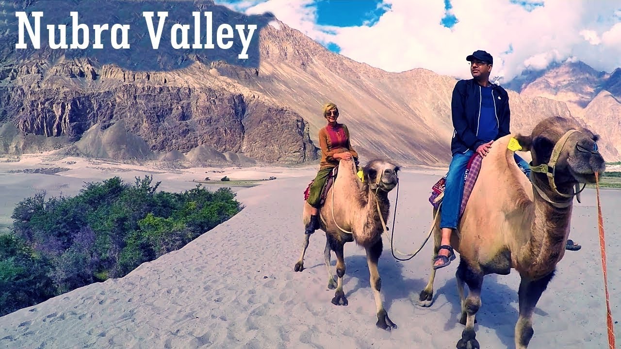 Ladakh - Nubra Valley - Things to Do 