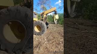 A few videos from our current selective aspen cutting
