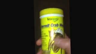 Handfeeding Tutorial Handfeeding A Hermit Crab Popcorn