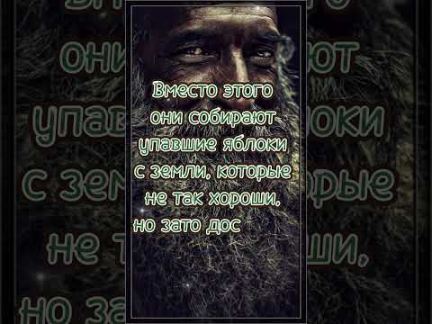 ОДИ МУДРЕЦ СКАЗАЛ... #мудрыеслова #цитатысосмыслом #shorts