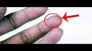 This Microchip With Wings Is The Smallest Flying Structure Humans Have Ever Built!