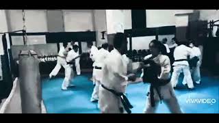 AIKO Speed and Power with shield training
