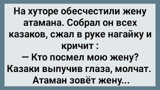 Как Казаки Жену Атамана Обесчестили! Сборник Свежих Анекдотов! Юмор!