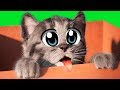 ПРИКЛЮЧЕНИЕ МАЛЕНЬКОГО КОТЕНКА мультфильм про котят мультики для детей и малышей веселый мульт