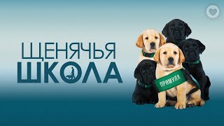 Щенячья Школа / 2018 / Умилительное Кино Про Собачек