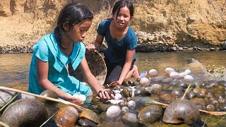 Two Sister Pick A Lot Snail And Duck Egg Near River- Steamed Snail & Duck Egg With Salt So Delicious