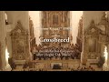 Capture de la vidéo Crossbreed | Thiemo Kraas
