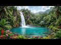 1 Hour Mountain Waterfall Sounds for Better Sleep