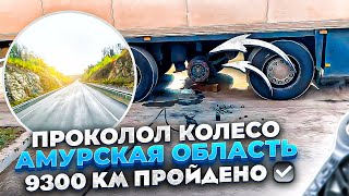 ПРОКОЛОЛ КОЛЕСО / АМУРСКАЯ ОБЛАСТЬ / ☑️9300 км ПРОЙДЕНО